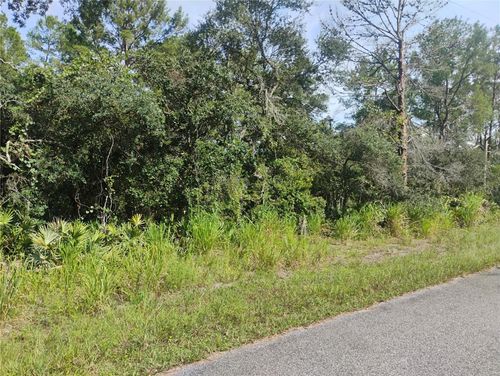 tbd Cedar St, Paisley, FL, 32767 | Card Image