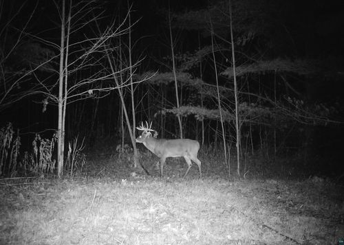 91XXX-A W Old County Hwy K, Bayfield, WI, 54814 | Card Image