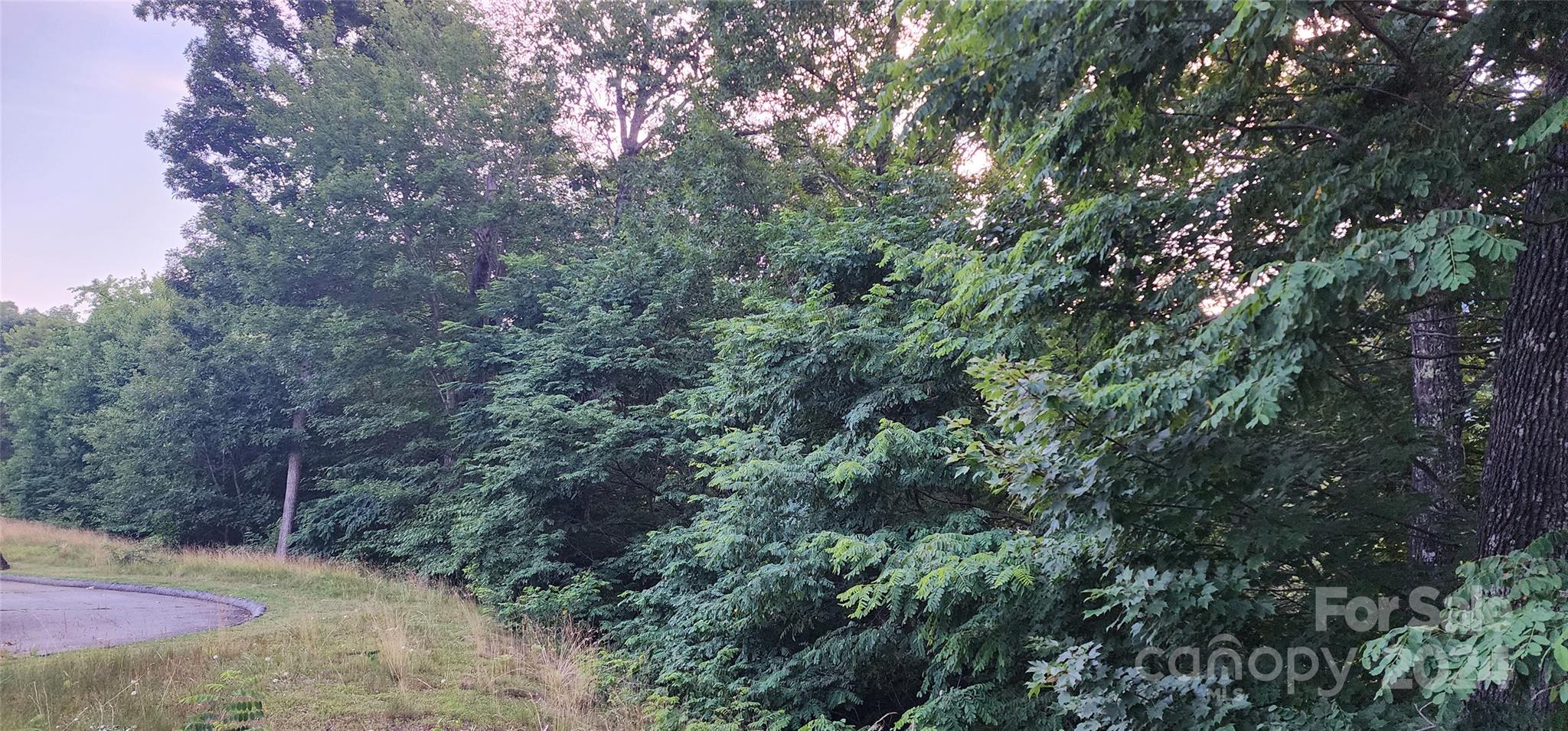 Land in Waynesville