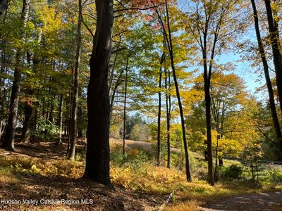 4196 Route 212, Home with 0 bedrooms, 0 bathrooms and null parking in Woodstock NY | Image 1