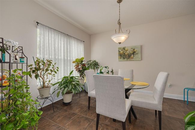 20215 Natures Spirit Dr, House other with 4 bedrooms, 3 bathrooms and null parking in TAMPA FL | Image 11