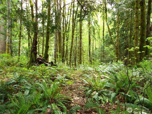 0 River Rd, Brinnon, WA, 98320 | Card Image