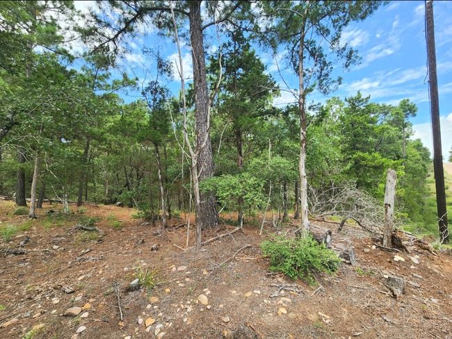 View of undeveloped land | Image 7