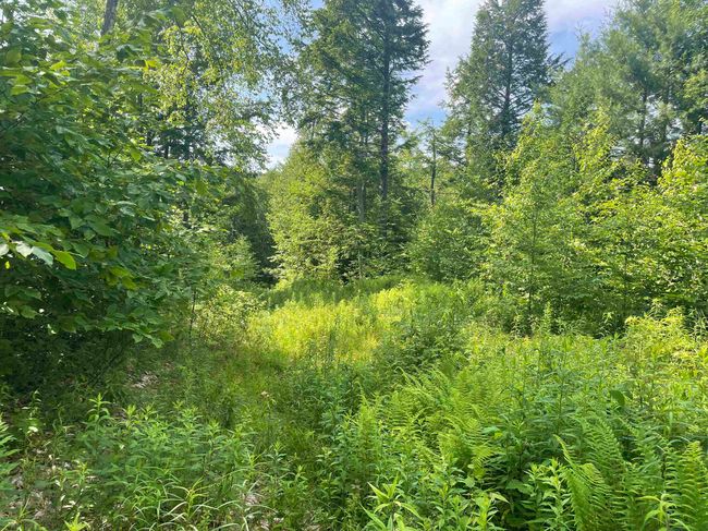 63 New Boston Rd, Home with 0 bedrooms, 0 bathrooms and null parking in Francestown NH | Image 9