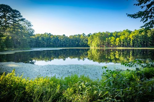 37118 Kanis Road, Paron, AR, 72122-9686 | Card Image