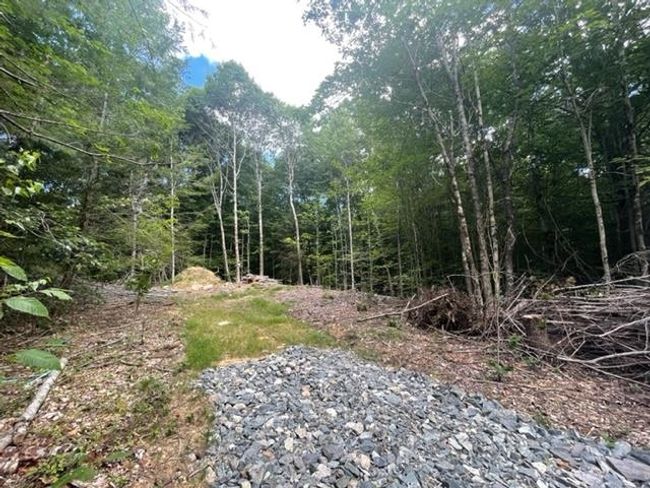 LOT-5-1 - 48 Mccrillis Rd, Home with 0 bedrooms, 0 bathrooms and null parking in Nottingham NH | Image 5