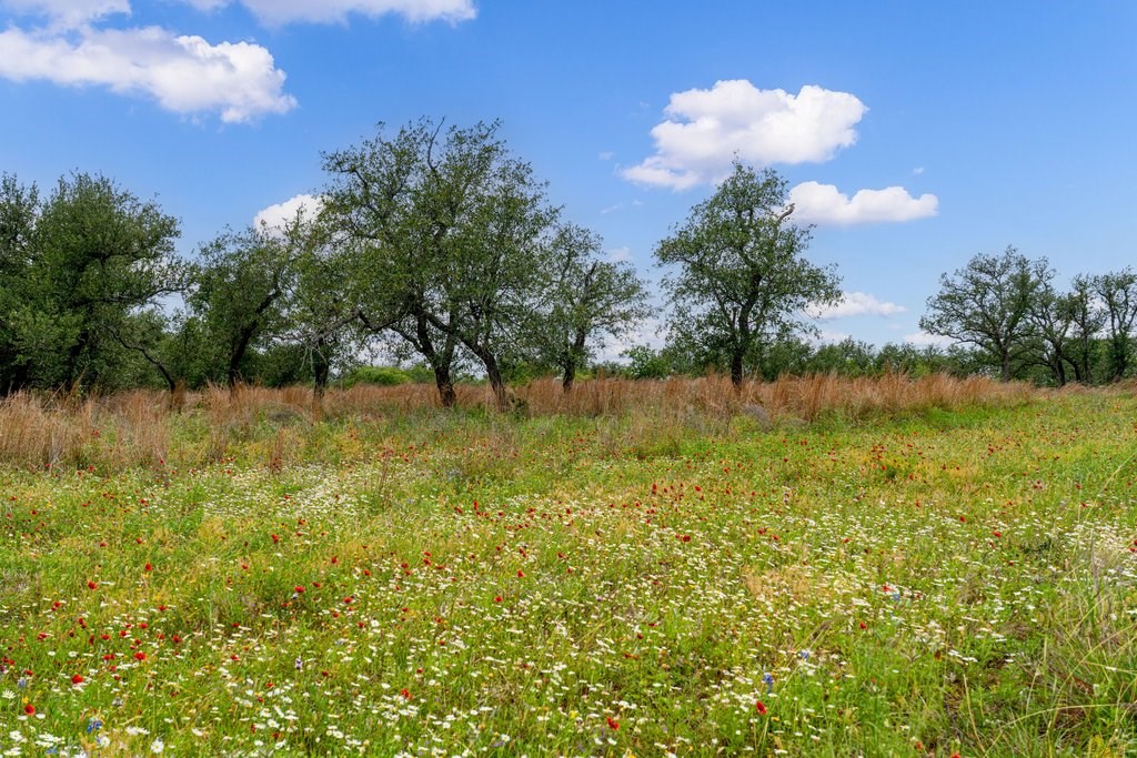 Land in Fredericksburg 4