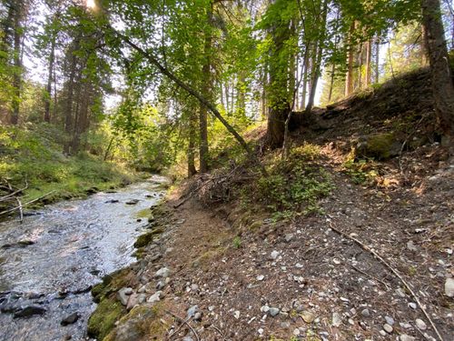 71 Osprey Dr E, Thompson Falls, MT, 59873-9516 | Card Image