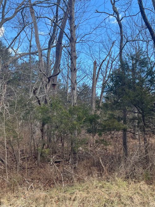 TBD Walker Creek Rd, MIDDLEBROOK, VA, 24459 | Card Image