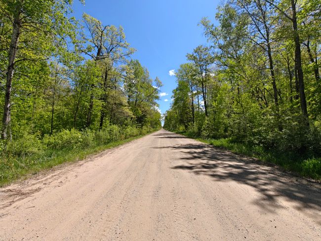 10830 3 Mile Rd, Home with 0 bedrooms, 0 bathrooms and null parking in Branch MI | Image 32