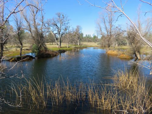 41 acres Ash Creek Rd, Anderson, CA, 96007 | Card Image