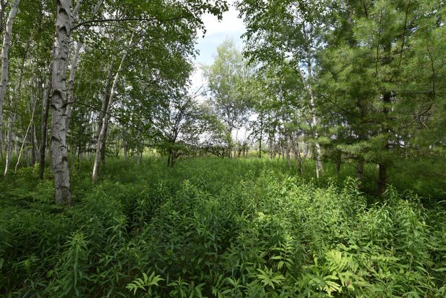 18625 Skunk Lake Rd, House other with 1 bedrooms, 0 bathrooms and null parking in SANDSTONE MN | Image 32