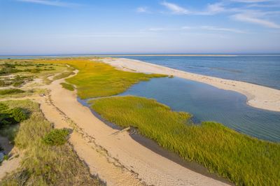 Beach looking North | Image 3