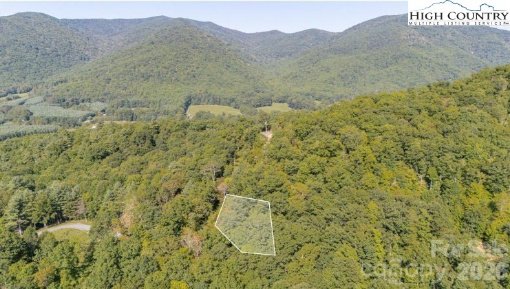 Land in Spruce Pine 4