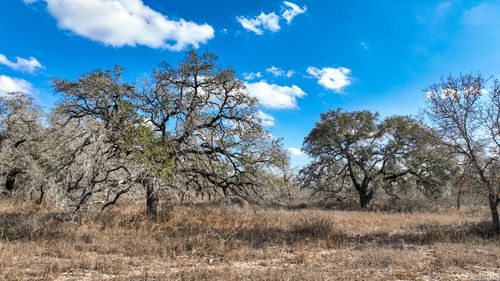 2703 County Road 770, Natalia, TX, 78059-2092 | Card Image