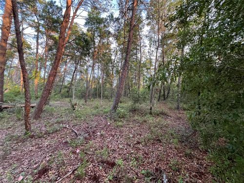 Tbd Twin Lake Rd, INTERLACHEN, FL, 32148 | Card Image