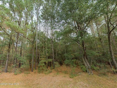 0 Shiloh Rd, Willard, NC, 28478 | Card Image