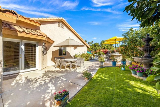 15-web-or-mls-2H8A2072 | Image 38