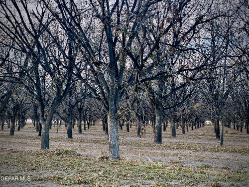 TBA Gillett St, Canutillo, TX, 79835 | Card Image