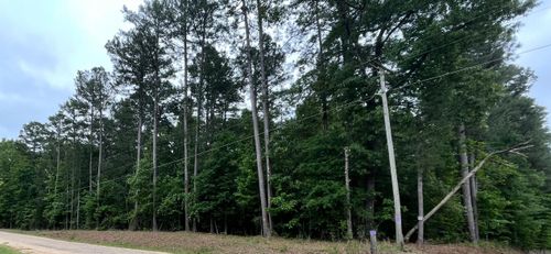 56.48 acres Ouachita 387, Camden, AR, 71701 | Card Image