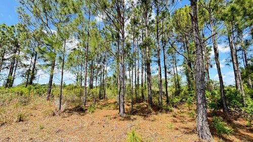 18121 Nw 304th St, Okeechobee, FL, 34972 | Card Image
