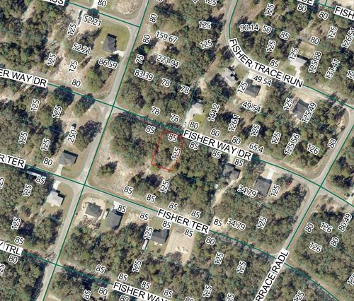11 Fisher Way Dr, Ocklawaha, FL, 32179-5921 | Card Image