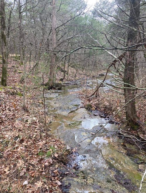 TBD Lot 21 Fawn Ridge Lane, Williford, AR, 72482 | Card Image