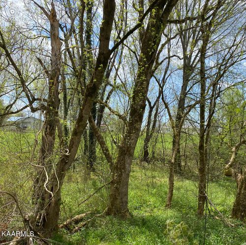 TBD Vista View Dr, Ewing, VA, 24248 | Card Image