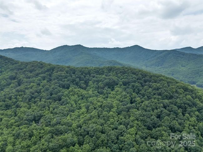 000 White Rock Branch Rd, Home with 0 bedrooms, 0 bathrooms and null parking in Candler NC | Image 29