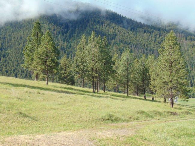 27235 Lazy Springs Rd, Home with 0 bedrooms, 0 bathrooms and null parking in Clinton MT | Image 44