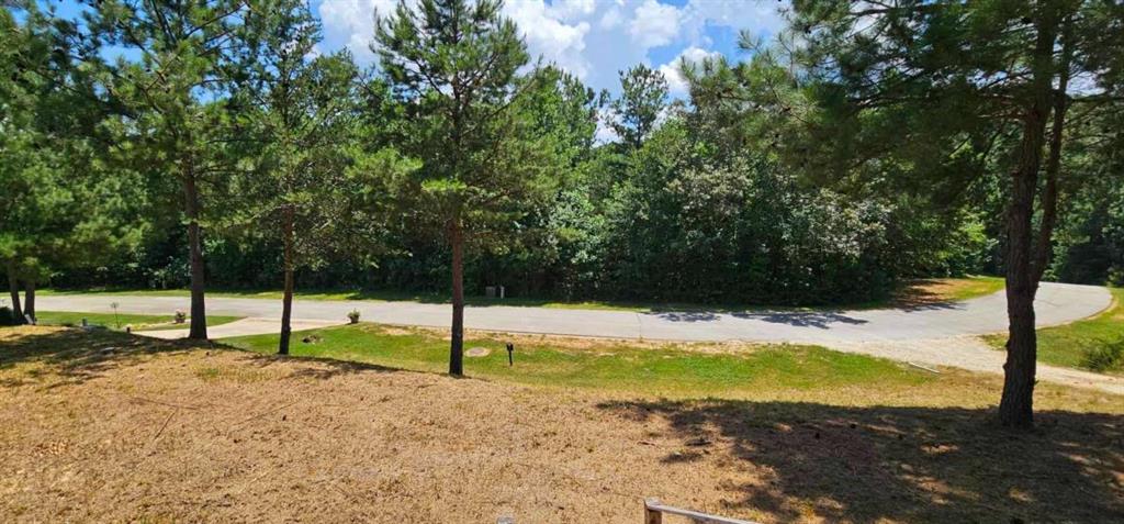 Land in Toccoa 5