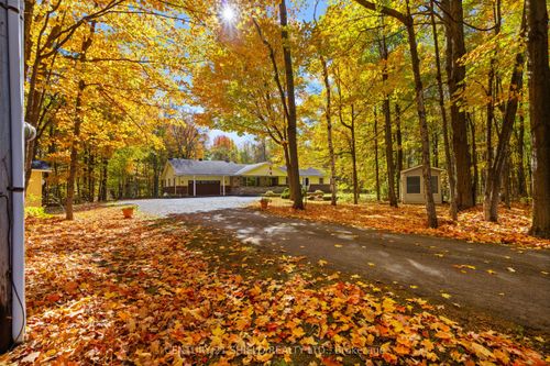 19602 Caber Rd, Martintown, ON, K0C1S0 | Card Image