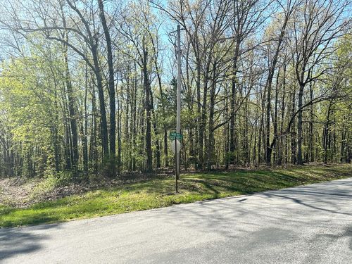 L42a & 43a Eaglecrest Rd, Cape Fair, MO, 65624 | Card Image