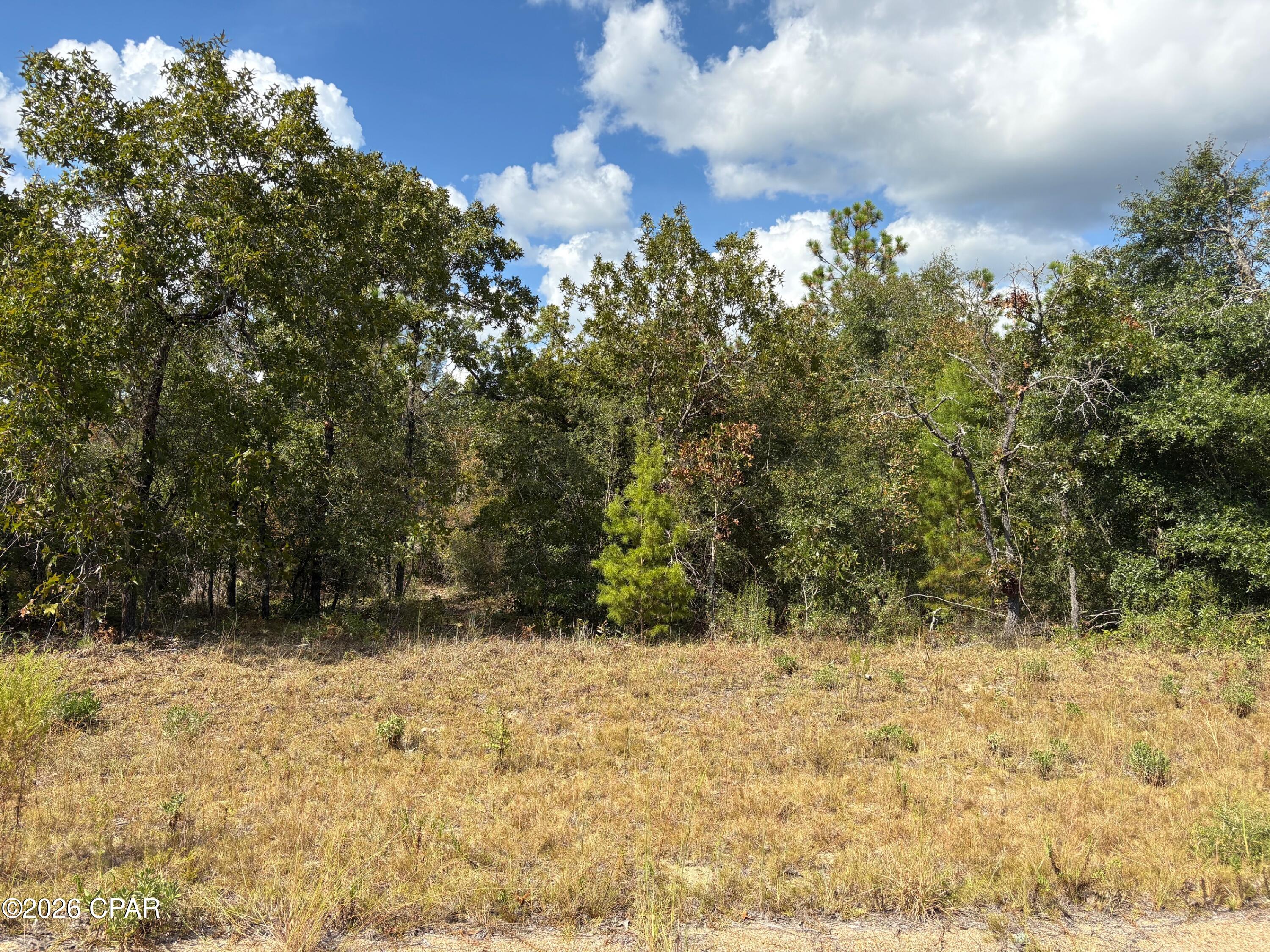 Land in Chipley 2