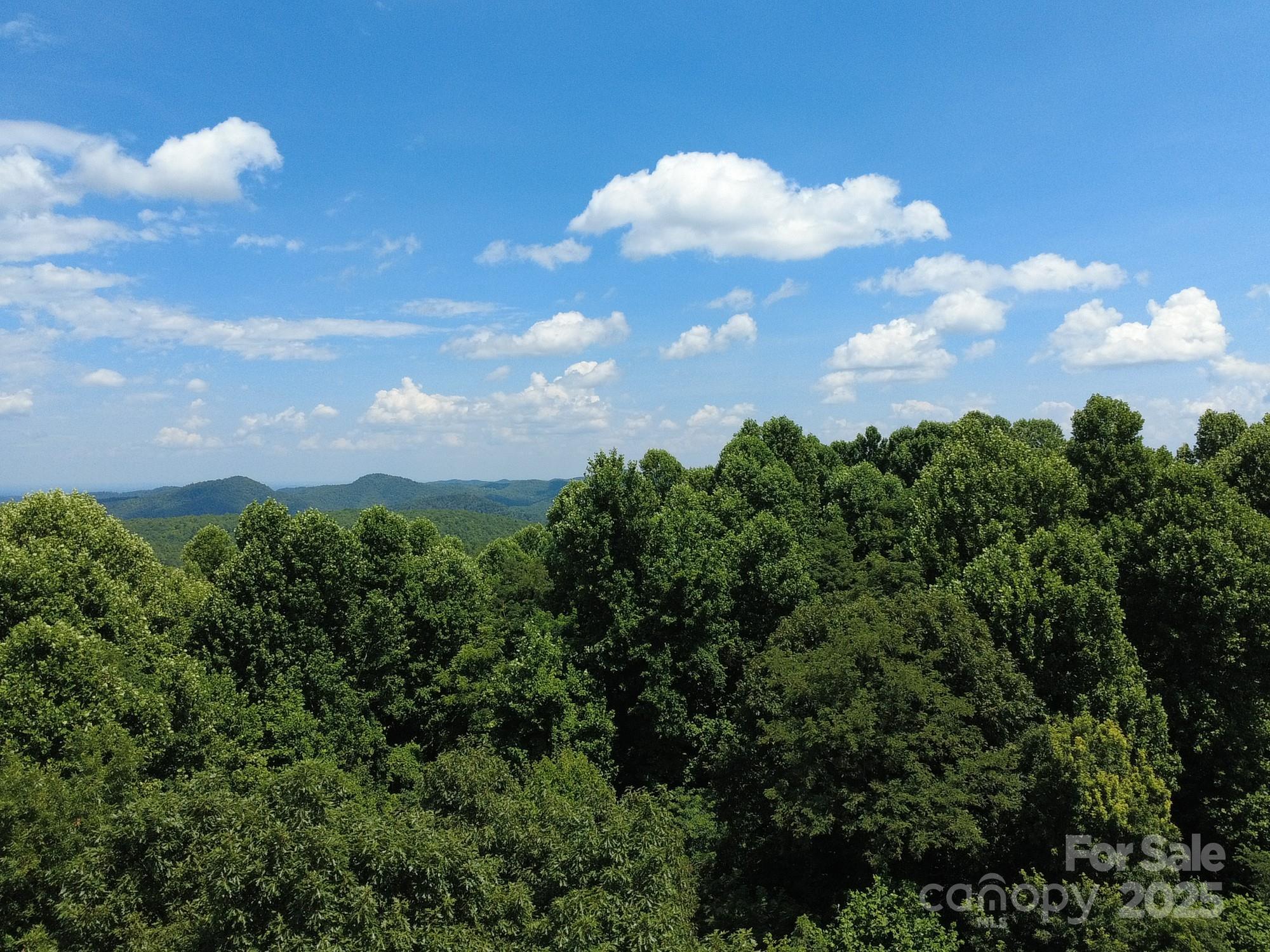 Land in Morganton 4