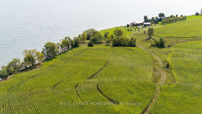 138 Jarvis Lane, Home with 0 bedrooms, 0 bathrooms and null parking in Picton ON | Image 16