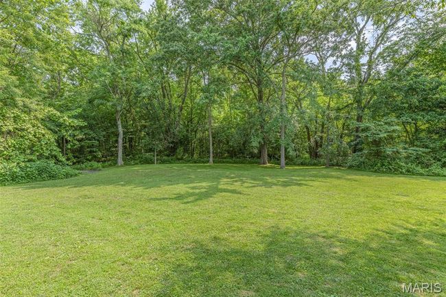 View of green lawn with a forest view | Image 60