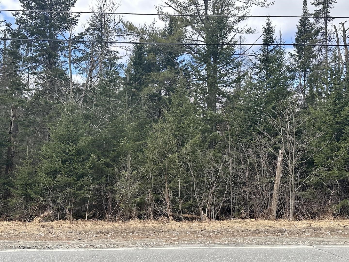 Land in Littleton 4