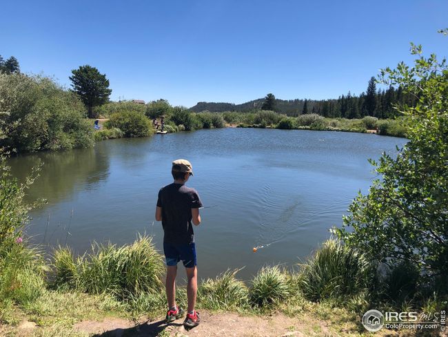 1836 Shoshoni Dr, Home with 0 bedrooms, 0 bathrooms and null parking in Red Feather Lakes CO | Image 7