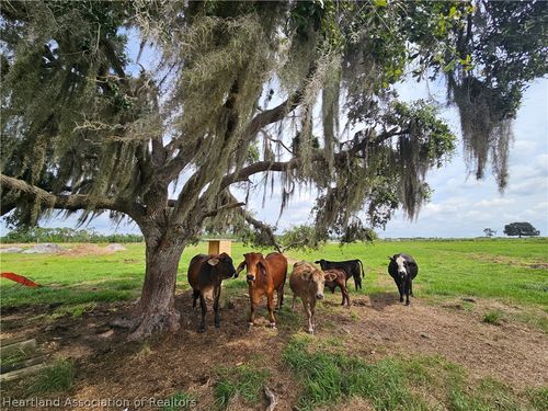 1013 Cattle Ranch Rd, VENUS, FL, 33960 | Card Image
