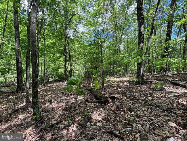 LOT 4 Yost Rd, Home with 0 bedrooms, 0 bathrooms and null parking in New Creek WV | Image 10