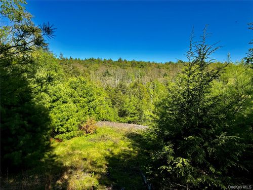 101 Stone Road, Hurley, NY, 12491 | Card Image