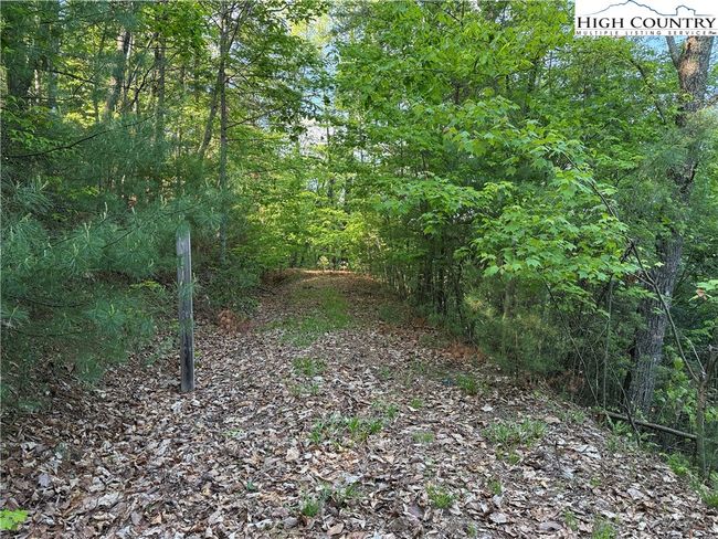 27 Wolf Pen Rd, Home with 0 bedrooms, 0 bathrooms and null parking in Purlear NC | Image 4