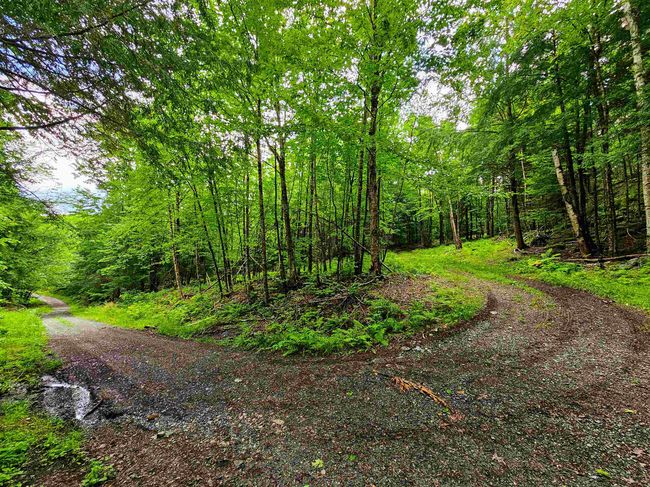 873 Royston Rdg, House other with 2 bedrooms, 0 bathrooms and null parking in Wells River VT | Image 26