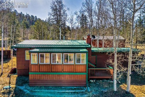 21 Albino Dr, Lake George, CO, 80827 | Card Image