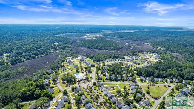 250 James Dunham Pkwy, House other with 4 bedrooms, 3 bathrooms and null parking in Richmond Hill GA | Image 46
