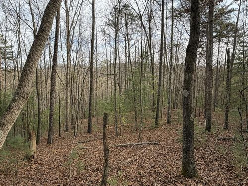 83 Acres Cutcane Rd, mineral bluff, GA, 30559 | Card Image