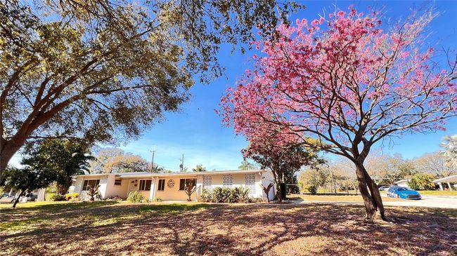 1516 Dove Dr, House other with 3 bedrooms, 2 bathrooms and null parking in ORLANDO FL | Image 12