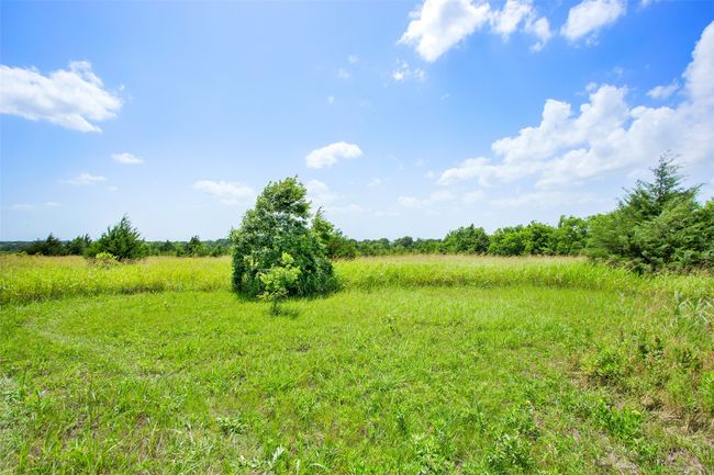 View of nature featuring rural landscape | Image 4