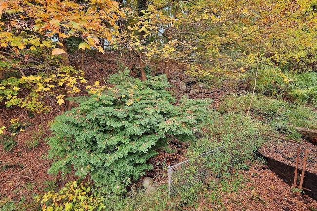 Yard | Image 33